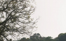 Inverno 2026 come&ccedil;a no Brasil com temperaturas acima da m&eacute;dia