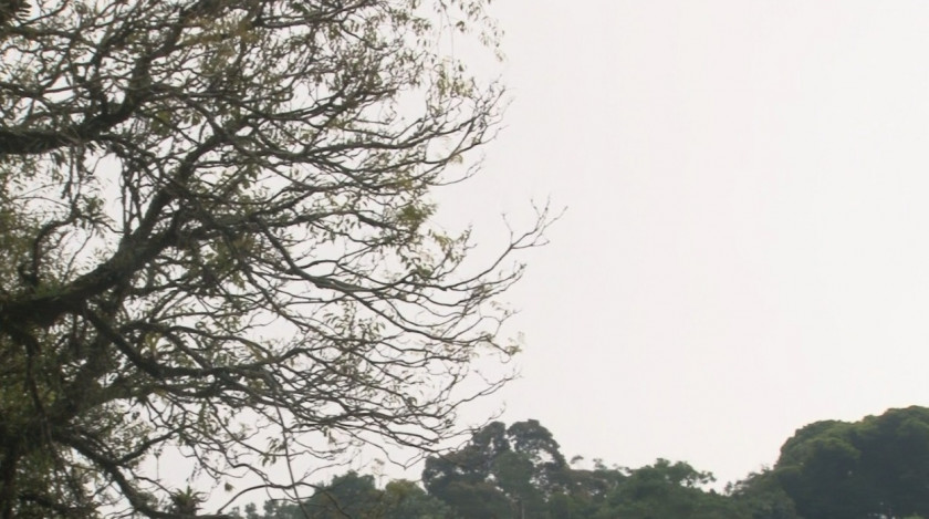 Inverno 2026 come&ccedil;a no Brasil com temperaturas acima da m&eacute;dia