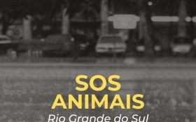 Orla Rio e OAB Barra se juntampara arrecadar doa&ccedil;&otilde;es