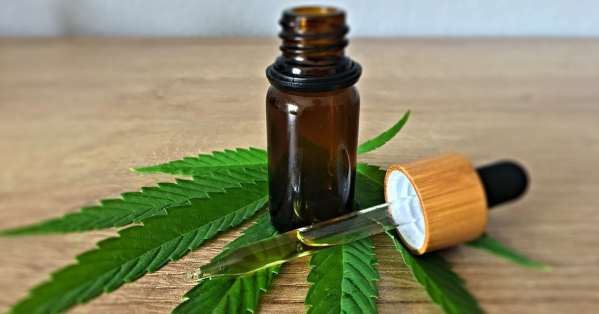 Anvisa altera regras para Cannabis medicinal e libera cultivo para exporta&ccedil;&atilde;o