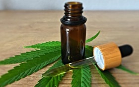 Anvisa altera regras para Cannabis medicinal e libera cultivo para exporta&ccedil;&atilde;o