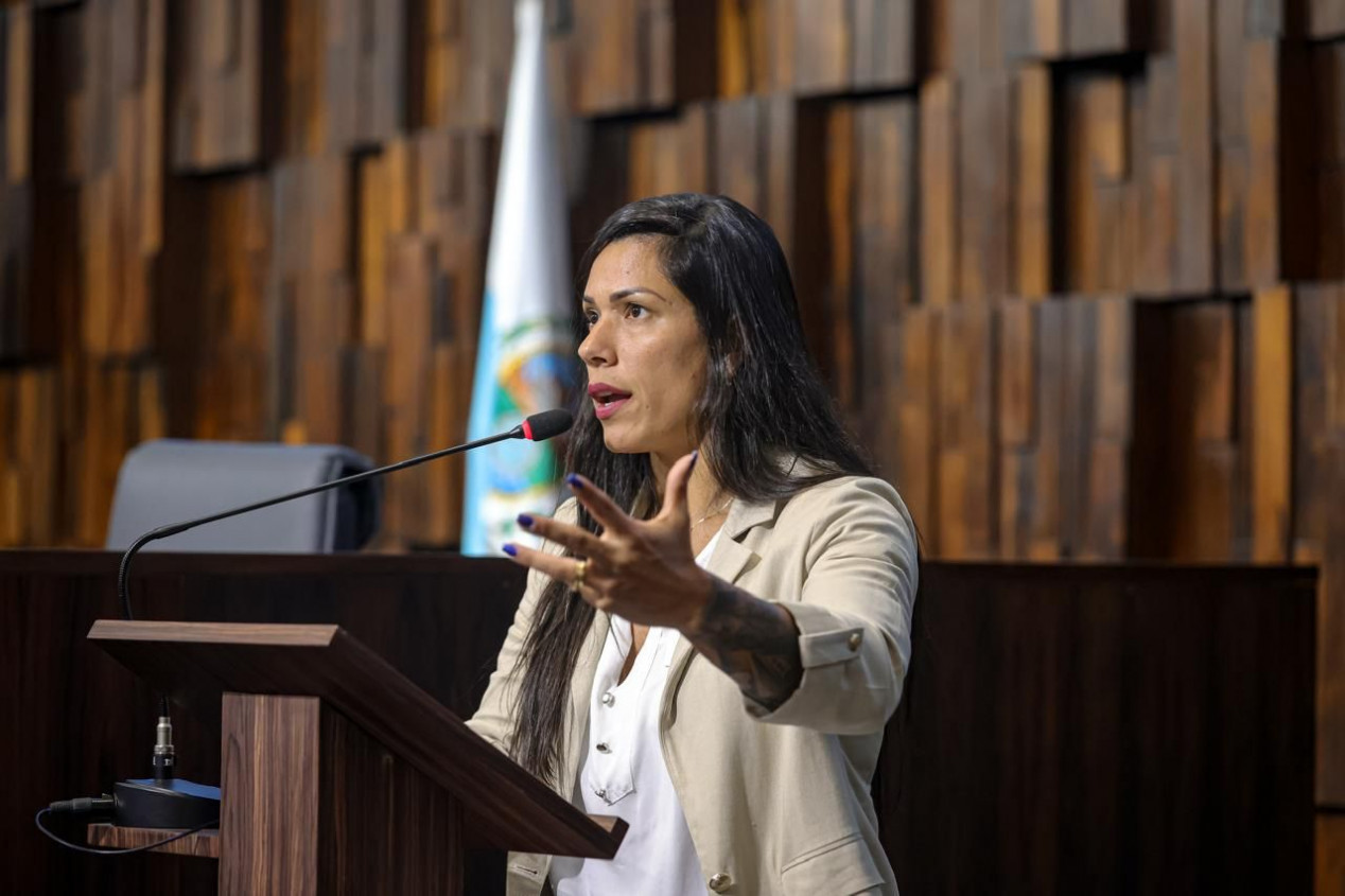 Justi&ccedil;a pro&iacute;be &Iacute;ndia Armelau de incentivar empres&aacute;rios a demitir trabalhadores que votaram no PT