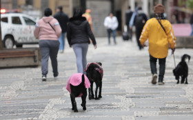 Frio intenso mant&eacute;m risco de geada no Sul nesta ter&ccedil;a‑feira