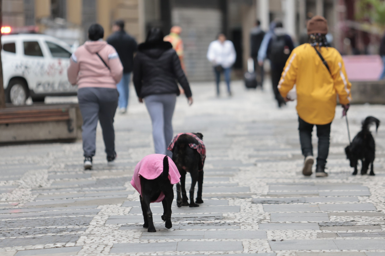 Frio intenso mant&eacute;m risco de geada no Sul nesta ter&ccedil;a‑feira