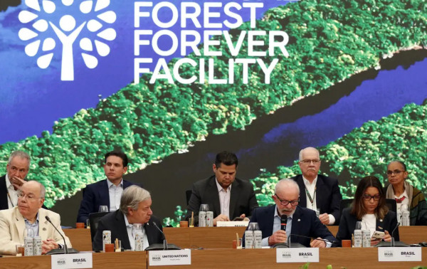 Fundo de Florestas Tropicais para Sempre j&aacute; tem US$ 5,5 bi, metade da meta para 2026  