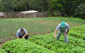 Brasil recebe encontro internacional da FAO