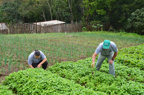 Brasil recebe encontro internacional da FAO