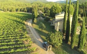 Revolu&ccedil;&atilde;o rosada no mundo dos vinhos
