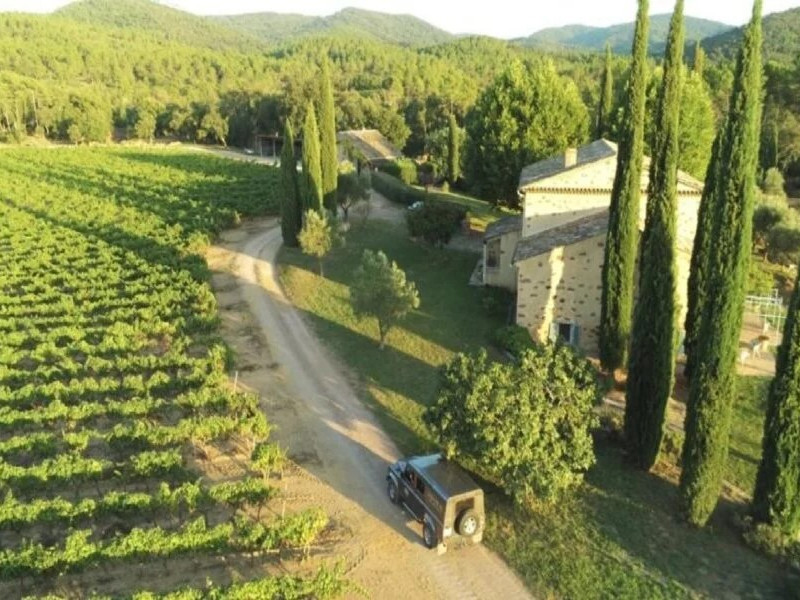 Revolu&ccedil;&atilde;o rosada no mundo dos vinhos