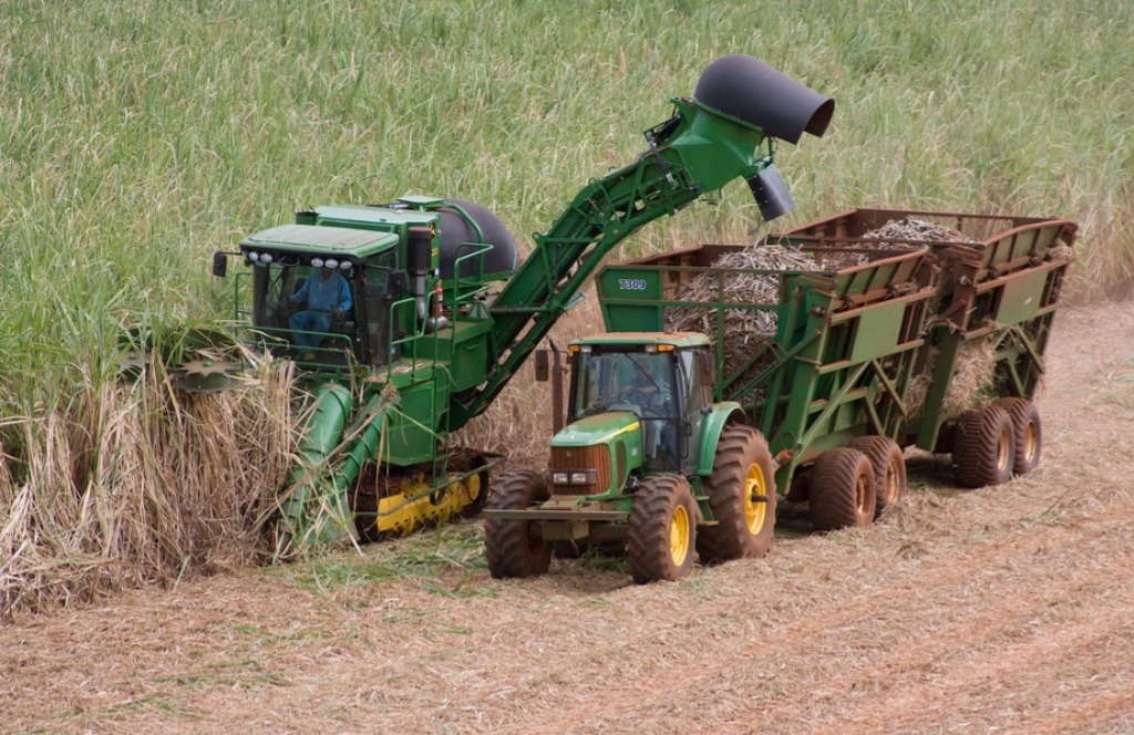 Agro paulista registra super&aacute;vit de US$ 6,45 bilh&otilde;es