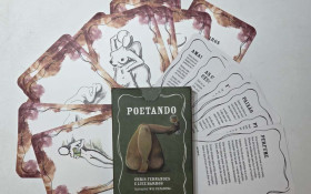 Livro "Poetando" transforma poesia em baralho art&iacute;stico