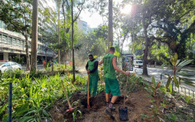 Subprefeitura revitaliza Zona Sul