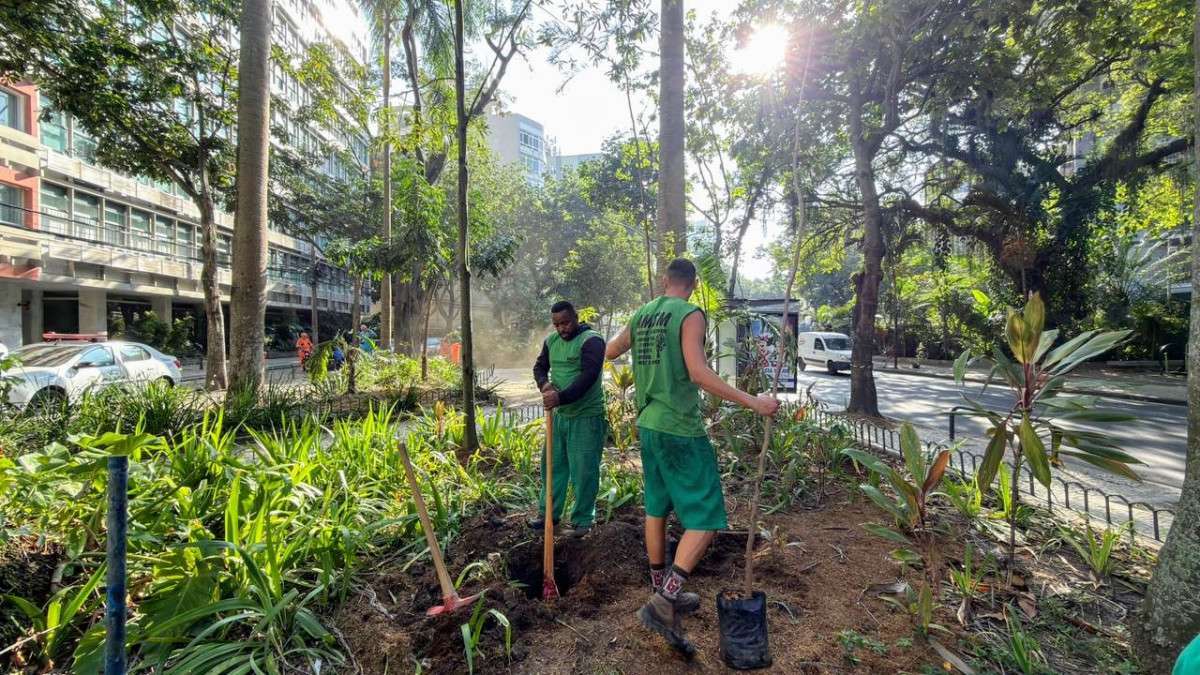 Subprefeitura revitaliza Zona Sul
