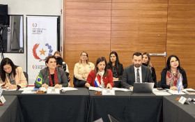 Brasil prop&otilde;e pacto regional contra feminic&iacute;dio no Mercosul