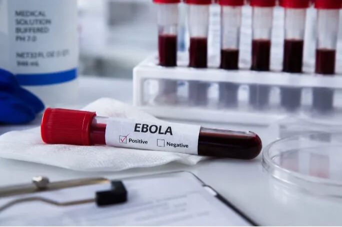 Brasileiros morrem em miss&atilde;o contra ebola no Congo