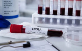Brasileiros morrem em miss&atilde;o contra ebola no Congo