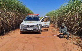 PM Ambiental inicia opera&ccedil;&atilde;o contra queimadas em SP