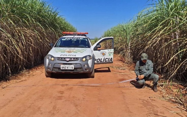 PM Ambiental inicia opera&ccedil;&atilde;o contra queimadas em SP
