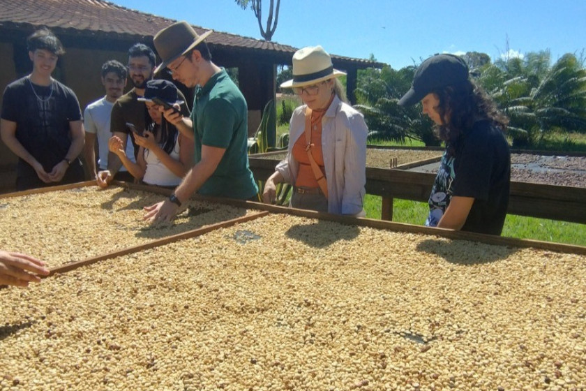Pesquisa busca tra&ccedil;ar a identidade do caf&eacute; produzido em Bras&iacute;lia