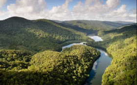 Desmatamento da Mata Atl&acirc;ntica cai 29% em SP
