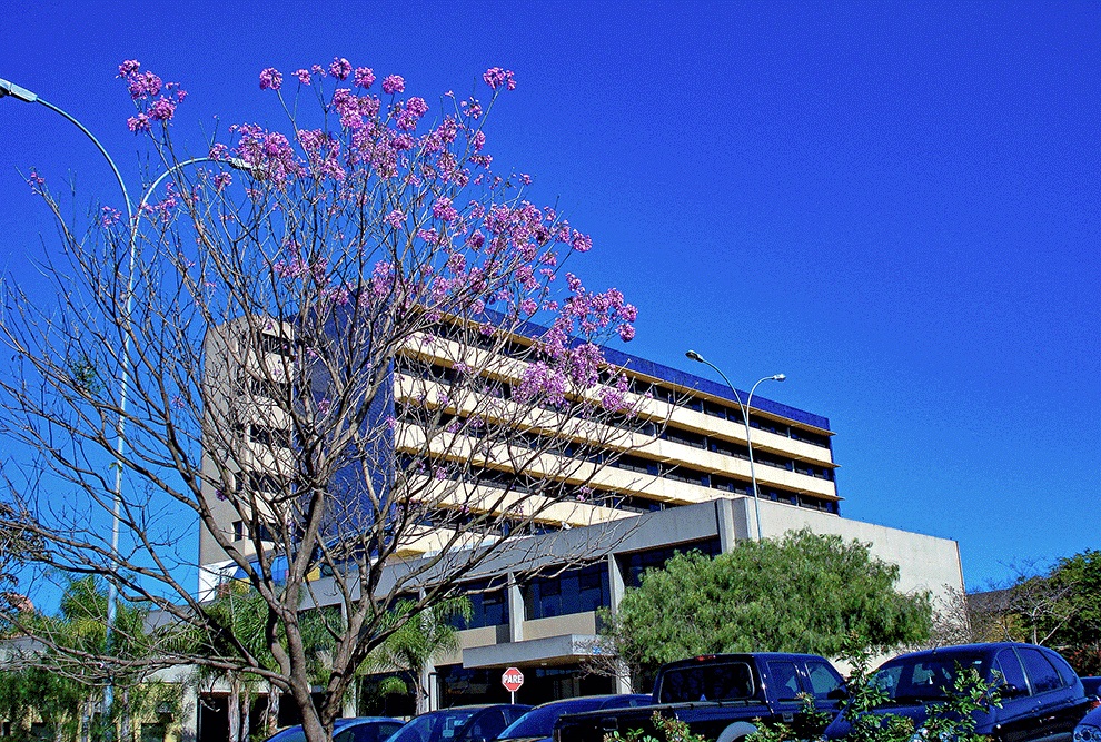 Hospitais paulistas lideram ranking brasileiro do SUS