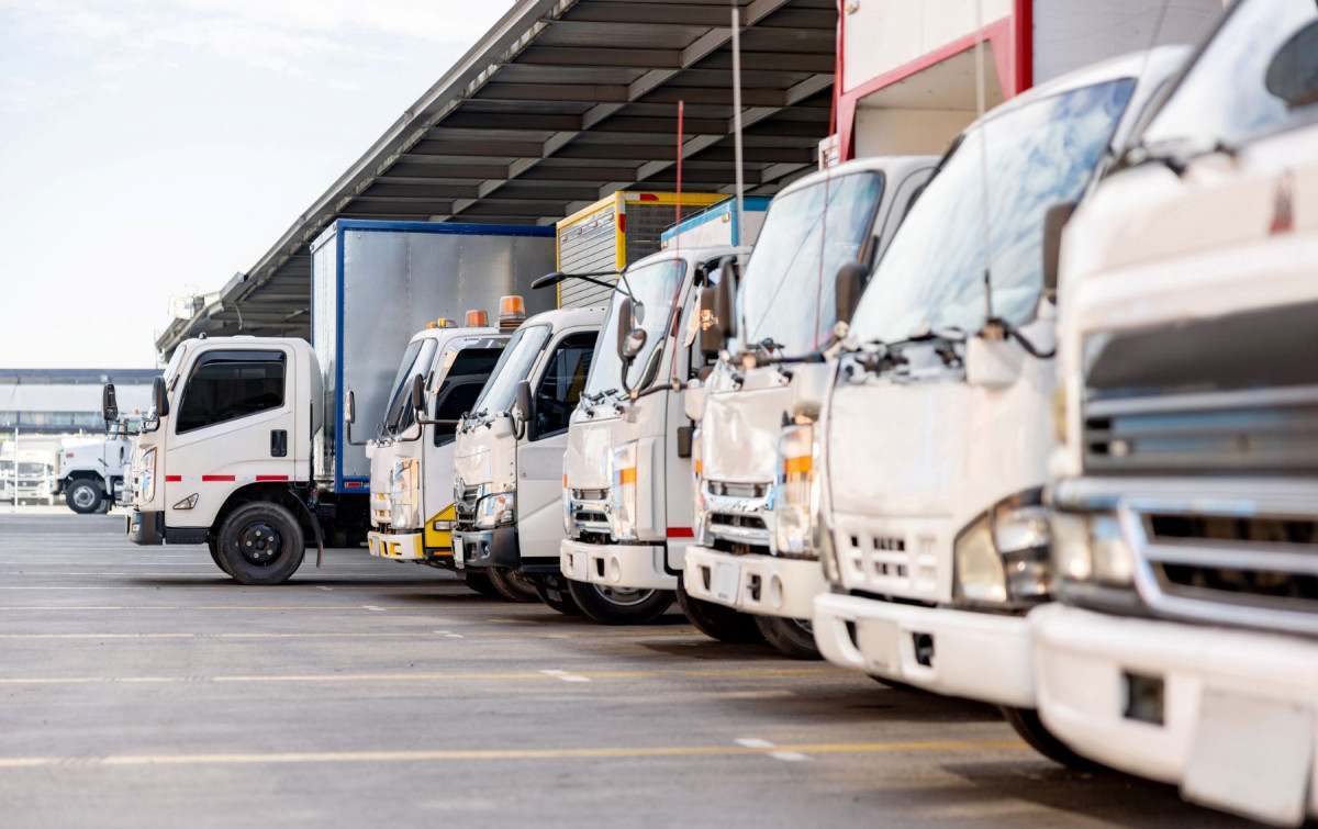 Move Brasil come&ccedil;a a funcionar