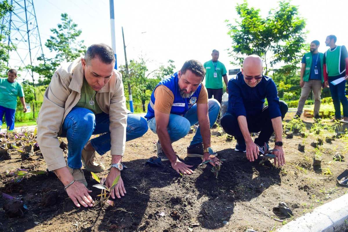Membros do Centro Pop fazem Oficina de Jardinagem