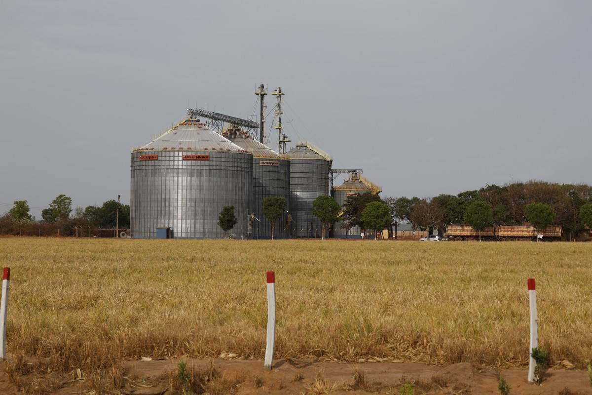 Conab: produ&ccedil;&atilde;o de gr&atilde;os pode chegar a 358,6 milh&otilde;es de toneladas neste ano