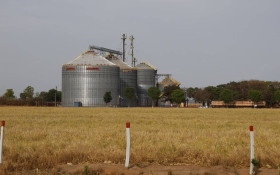 Conab: produ&ccedil;&atilde;o de gr&atilde;os pode chegar a 358,6 milh&otilde;es de toneladas neste ano