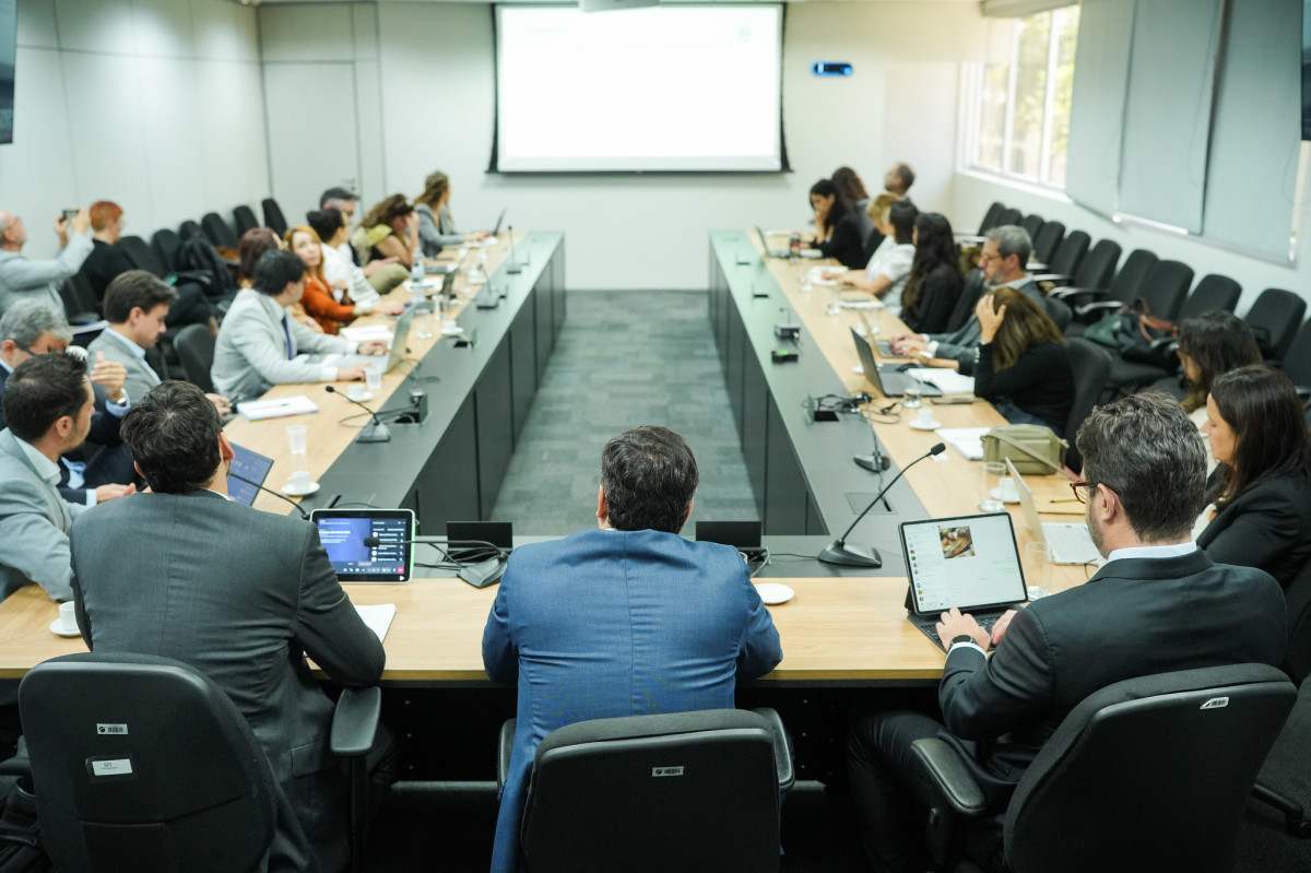 Governo e setor a&eacute;reo debatem mercado regulado de carbono