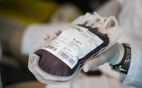 Doa&ccedil;&atilde;o de sangue entre torcedores