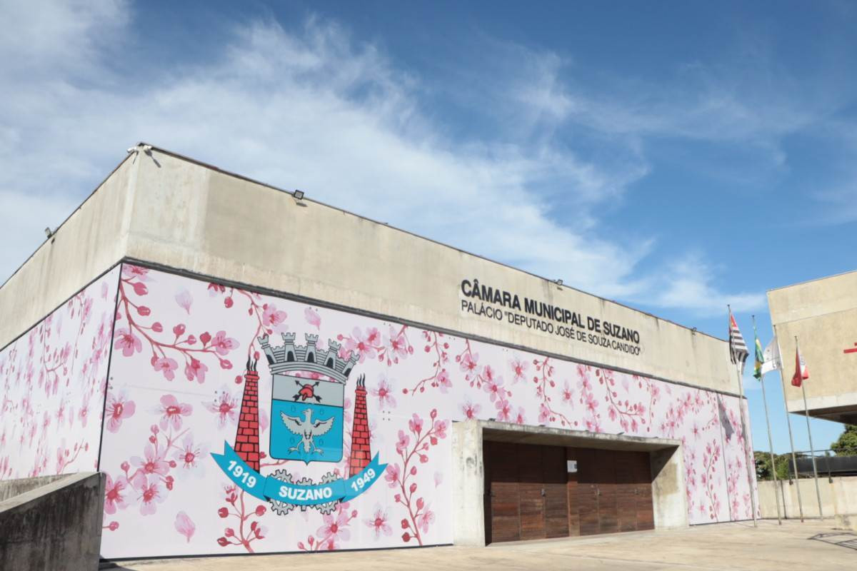 Servi&ccedil;os para mulheres v&iacute;timas de viol&ecirc;ncia em Suzano