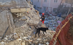 N&uacute;mero de mortos em terremotos na Venezuela chega a 1.719