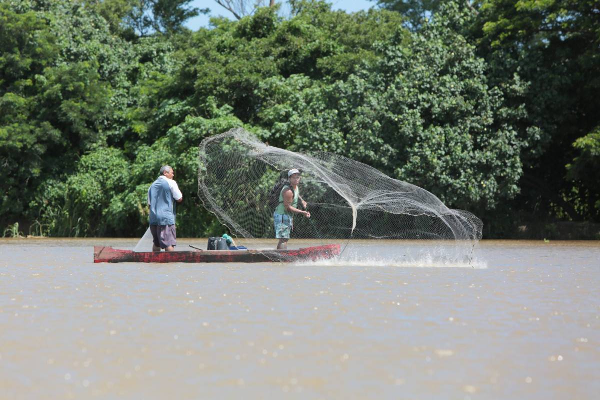 Leis da Alerj fortalecem o direito dos pescadores fluminenses