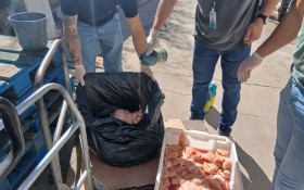 Prefeitura de Saquarema intensifica fiscaliza&ccedil;&atilde;o em supermercados