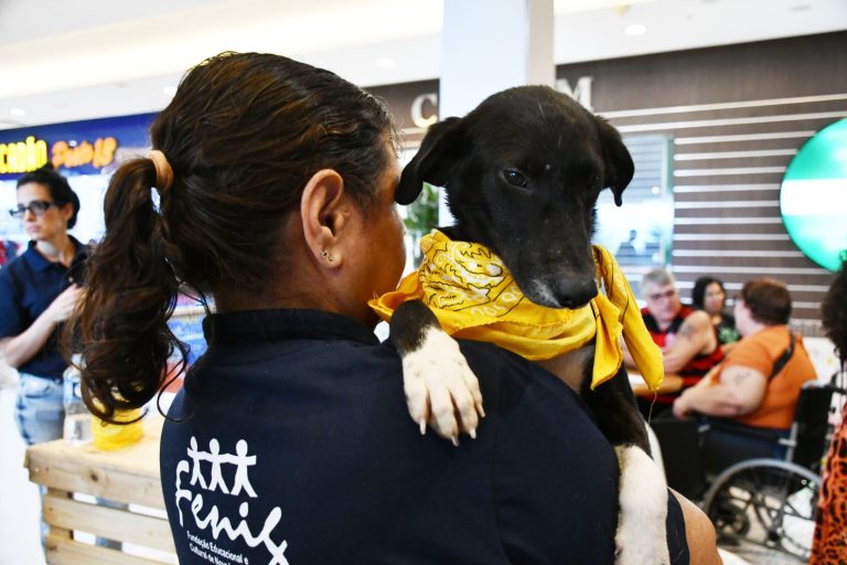 Campanha de ado&ccedil;&atilde;o de pets faz sucesso em Nova Igua&ccedil;u