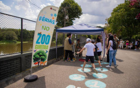 Zoo de Curitiba tem programa&ccedil;&atilde;o especial para f&eacute;rias escolares