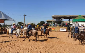 MPSP determina R$ 100 mil por estouro de cavalos em S&atilde;o Carlos