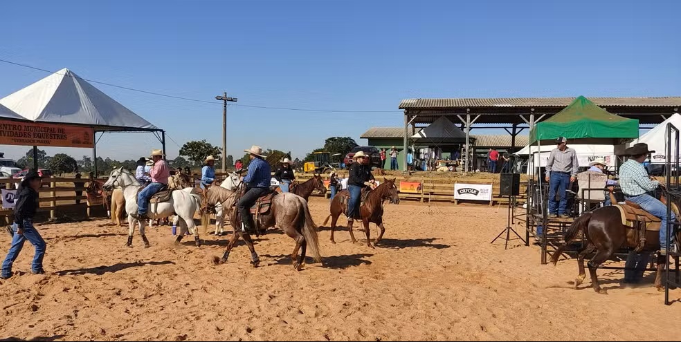MPSP determina R$ 100 mil por estouro de cavalos em S&atilde;o Carlos