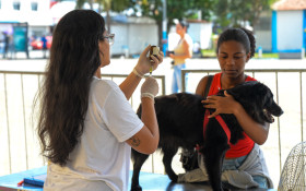 Cabo Frio volta a ter projeto de castra&ccedil;&atilde;o gratuita para pets