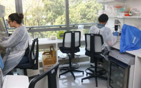 IA ser&aacute; usada para mapear &aacute;reas de risco de transmiss&atilde;o da dengue em SP