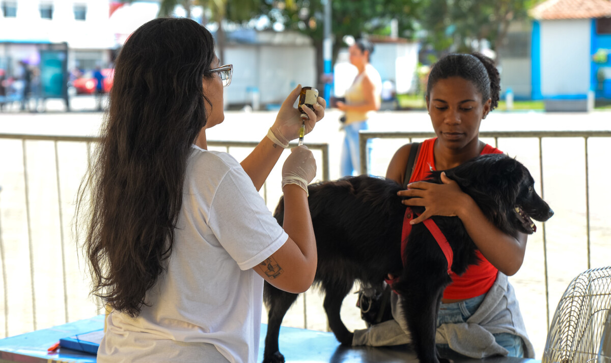 Cabo Frio volta a ter projeto de castra&ccedil;&atilde;o gratuita para pets