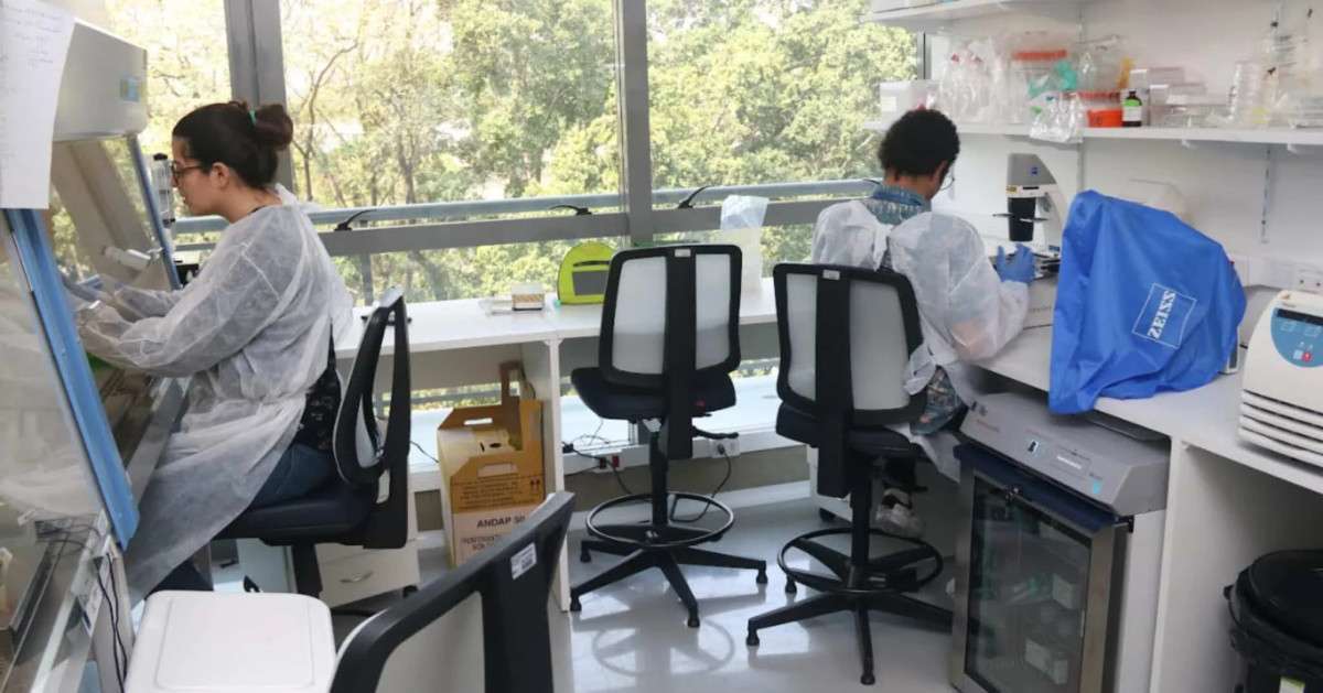 IA ser&aacute; usada para mapear &aacute;reas de risco de transmiss&atilde;o da dengue em SP