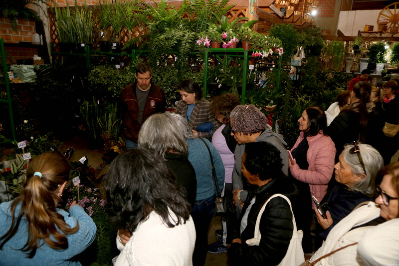 Universo de flores e frutas para aposentadas em Curitiba
