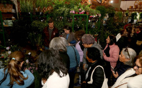 Universo de flores e frutas para aposentadas em Curitiba