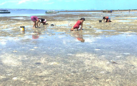 Estudo aponta diferen&ccedil;a de renda na pesca artesanal