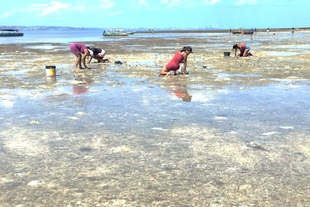 Estudo aponta diferen&ccedil;a de renda na pesca artesanal