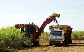 MP incentiva produtores de cana do Nordeste