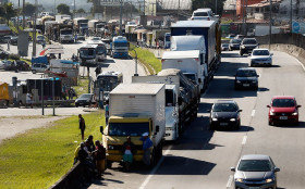 Jabuti bolsonarista pode ressuscitar