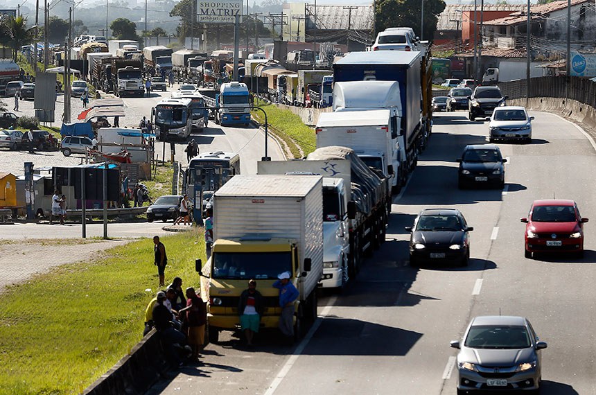 Jabuti bolsonarista pode ressuscitar